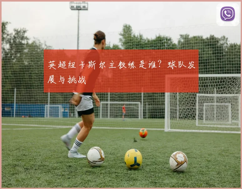 英超纽卡斯尔主教练是谁？球队发展与挑战