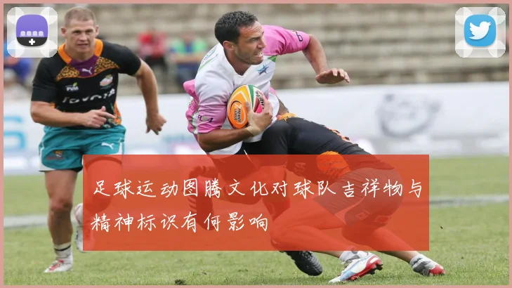 足球运动图腾文化对球队吉祥物与精神标识有何影响