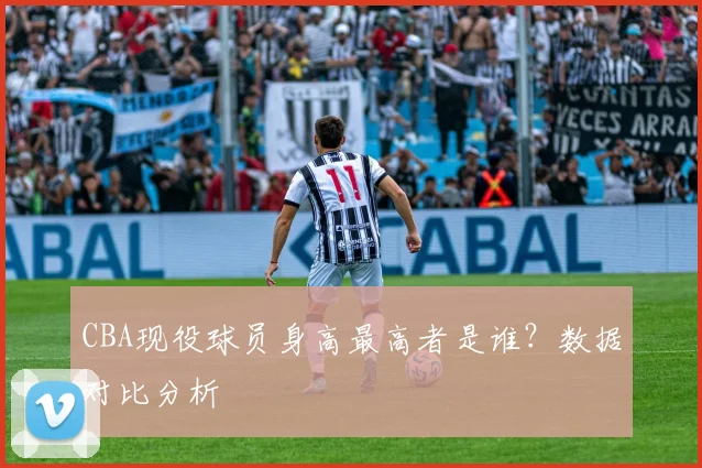 CBA现役球员身高最高者是谁？数据对比分析