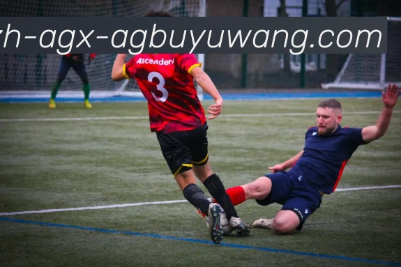 AG捕鱼王官网平台生态图